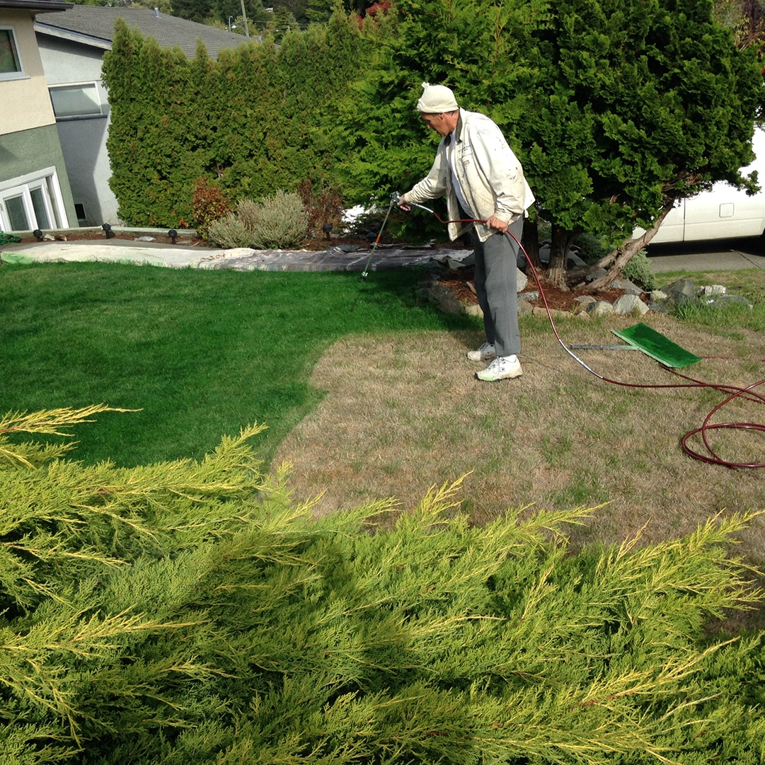 lawn spray painting victoria bc